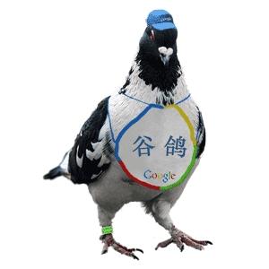 愚人節惡搞開始 谷歌“鳥看”
